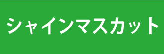 シャインマスカット